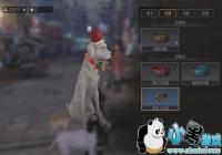 ֮ʥڻʲô ʥڻ