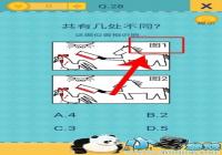 �������ֲ���2��28�ع��� �������ֲ���2��28����ô��