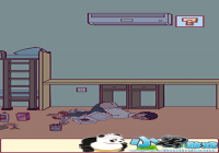 �����ǲ����ܺ�ƽ�ĵ�6�ع��ؼ��ɽ���