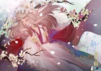 ����ʦӣ�����߰汾�����ݹ��� ����ʦӣ�����߰汾������ô��