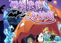 ȼ���ҵĻҹ�����Ϸ�������� ȼ���ҵĻҹ�����Ϸ���ص�ַ����