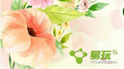 QQ�������Ǯ�ܳ��̻������·� �̻������·�ֵ��������