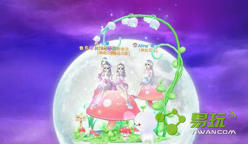 QQ�����㹽���ֱ�������������� �㹽���ֱ���ۺÿ���