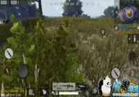 ȫ����������֪�����ѡ��ǹе ����������Ҫ��