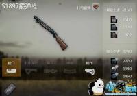 ��������ȫ����������ǹ������ ���ܽ���