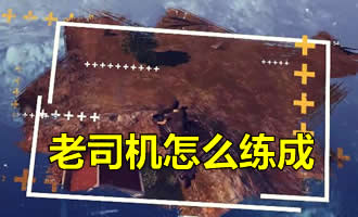 �������������طŹ����Ĵ�Ƭ �����������ʻط�