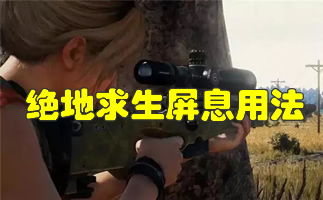 ��������������ʽ��Crash Reporter���������������