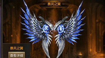 ��ʹ��Ԫħ��ʦ������ô���� ħ��ʦ���Ĵ��乥��