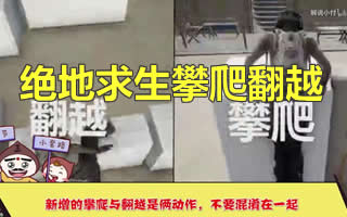 ��������������ʽ�������ʲô 1.0��ʽ����ʲô�Ķ�