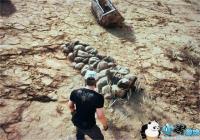 �����������������Ĺ�زʵ� ɳĮ��ͼ���ֽ���Ƿ�Ĺ