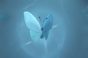 �����˸�֩����ô�� �����˸�֩�������淨����
