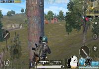 ����ɳĮ��ʵ�� �̼�ս�����ֱػ��Ұս����