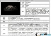 �����˸�֩���츳�ӵ㹥�� ֩���츳��ô�ӵ�����