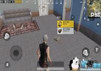 �̼�ս��������ʲô�ã� �̼�ս��������ȷʹ�÷�������