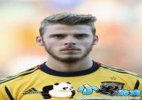 fifa��������º�����ô���� fifa���εº���ֵ��������