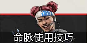 ApexӢ������ʹ�ü��� ApexӢ����������������ô��