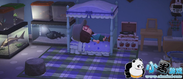 集合啦动物森友会