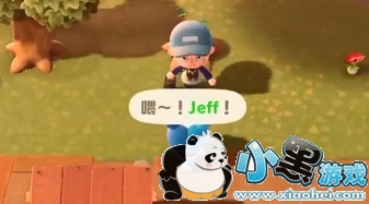 动物之森口袋露营