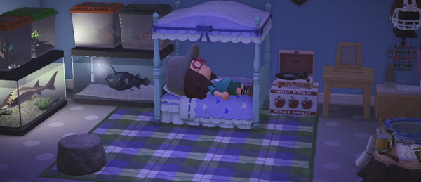 ����ɭ�ѻ����˯�� ����������ɭ�ѻ��淨����