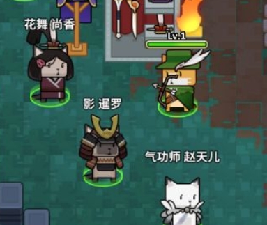 ��èС�ֶ�����װ���Ƽ� ��èС�ֶ������淨����