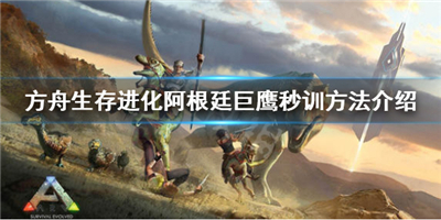 ���������������͢��ӥ����շ� ������������淨����