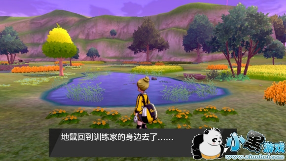 精灵宝可梦剑盾