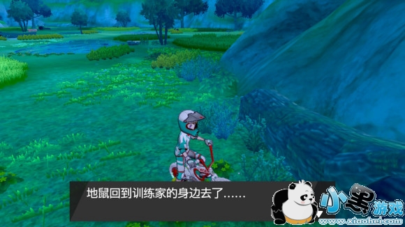 精灵宝可梦剑盾