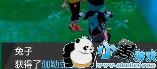 精灵宝可梦剑盾