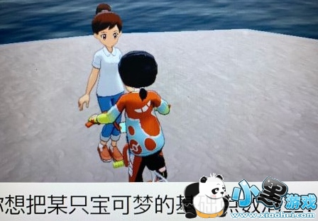 精灵宝可梦剑盾