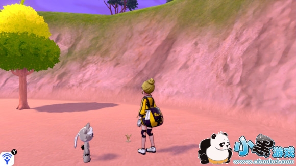 宝可梦剑盾健身之海地鼠位置