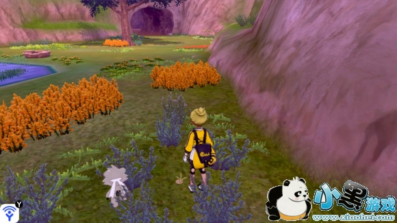 精灵宝可梦剑盾