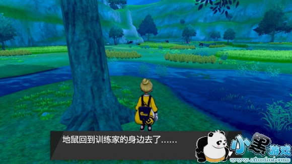 精灵宝可梦剑盾