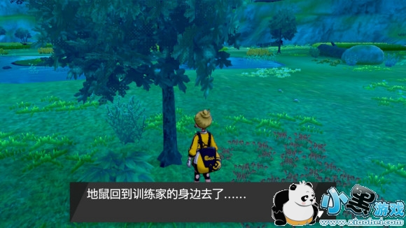 精灵宝可梦剑盾