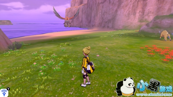 精灵宝可梦剑盾