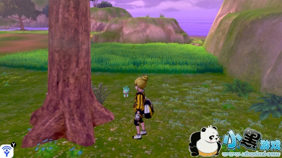 精灵宝可梦剑盾