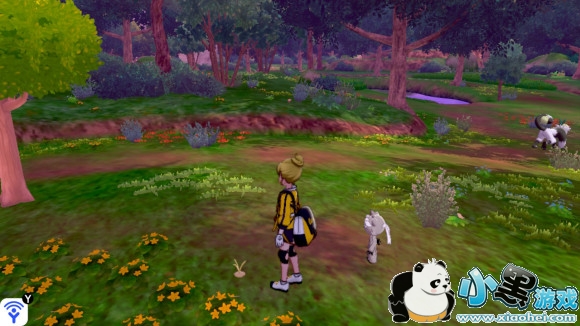 精灵宝可梦剑盾