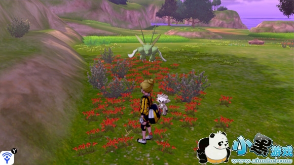 精灵宝可梦剑盾