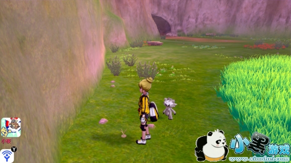 精灵宝可梦剑盾