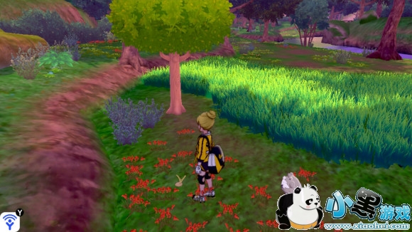 精灵宝可梦剑盾