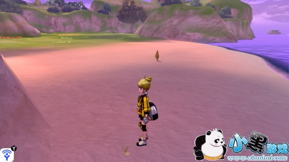 精灵宝可梦剑盾