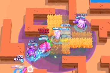 ��Ұ�Ҷ��������ֽ�ɫ�Ƽ�_��Ұ�Ҷ��淨����