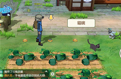 Сɭ����è����λ���_Сɭ�����淨����