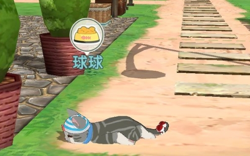 Сɭ�������è����Щ ����èһ��_Сɭ�����淨����