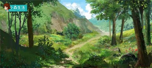 Сɭ����ֹ��������ô�õ�_Сɭ�����淨����