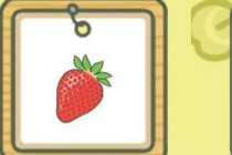 �������ܵ��ɺ������۷�ϲ��ʲô �۷�����ʲôʳ��