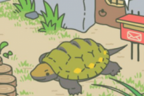 ����������ţ���ڹꡢ�۷�ϲ����ʲô ������������������ϲ����ʳ����� 