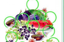 ΢�Ŵ�����Ҳ�ÿ����ս2.5����ʲô ������Ҳ�2.5��