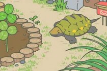 ���������ڹ�ϲ����ʲô �ڹ�ιʲô������