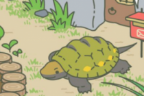 ����������ţ���ڹꡢ�۷�ϲ����ʲô ������������������ô��/��ô�д�