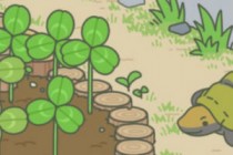 �������ܳƺ���ʲô���� �����������ܵĳƺ���ô��� 